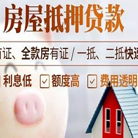 丹棱贷款助贷公司新渝启服靠谱公司